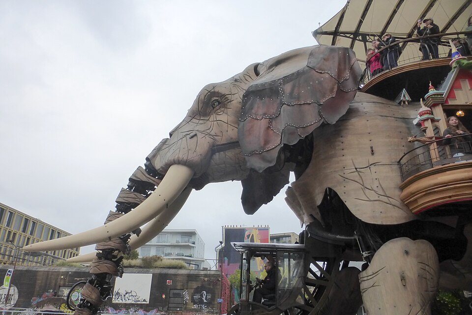 The elephant's head, tusks and trunk up close
