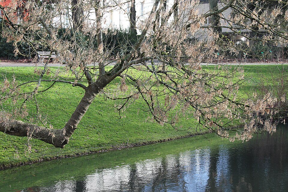 Jardin des Plantes